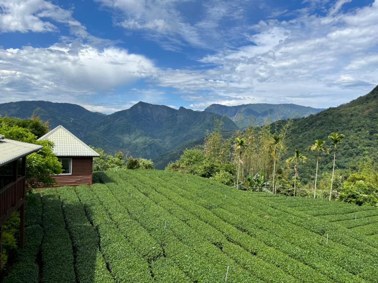 Ye Jiang Hua Homestay Meishan Esterno foto